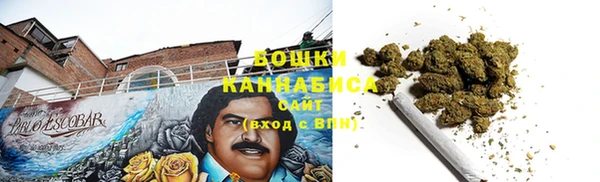 спайс Богданович