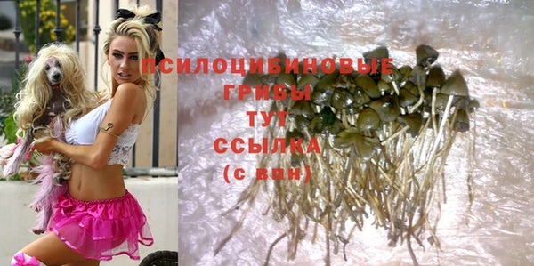 мет Бородино