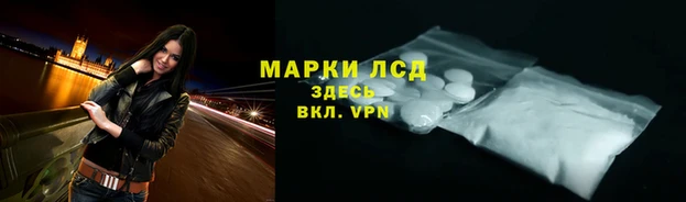 ПСИЛОЦИБИНОВЫЕ ГРИБЫ Бронницы