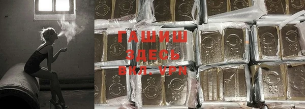 ПСИЛОЦИБИНОВЫЕ ГРИБЫ Бронницы