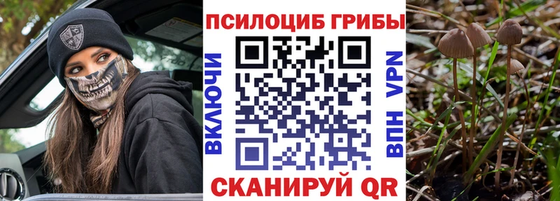 Псилоцибиновые грибы GOLDEN TEACHER  ссылка на мегу как войти  Пермь  купить наркотик 